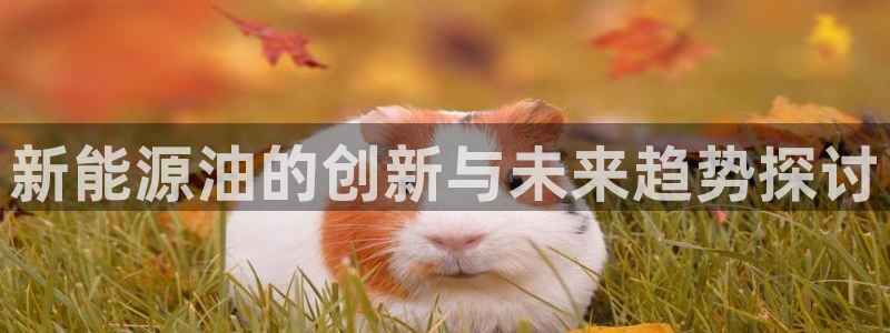 新宝gg官方下载：新能源油的创新与未来趋