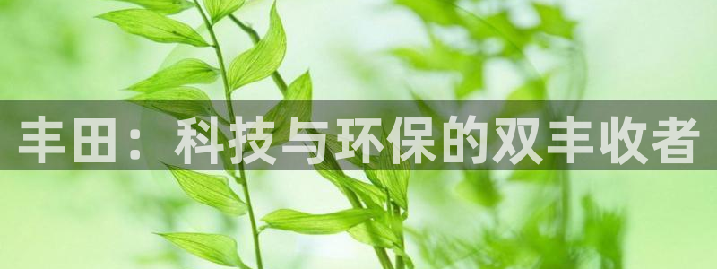 新宝GG湫33 300：丰田：科技与环保