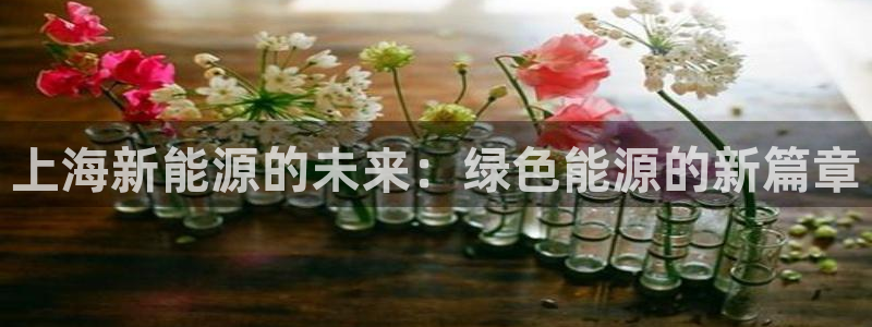 新宝gg会员：上海新能源的未来：绿色能源