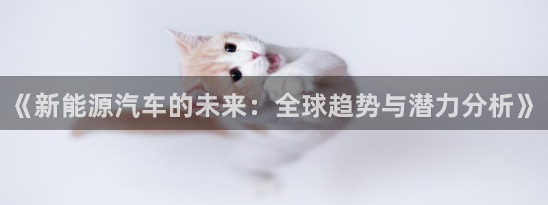 新宝gg套利：《新能源汽车的未来：全球趋