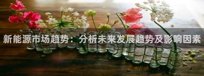 新宝gg画：新能源市场趋势：分析未来发展