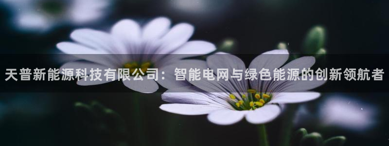新宝gg109：天普新能源科技有限公司：