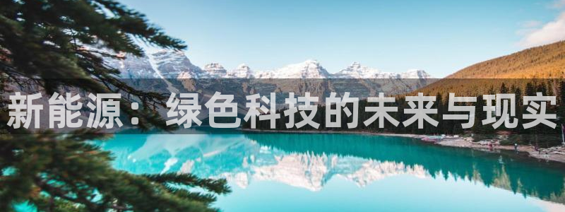 新宝gg成立