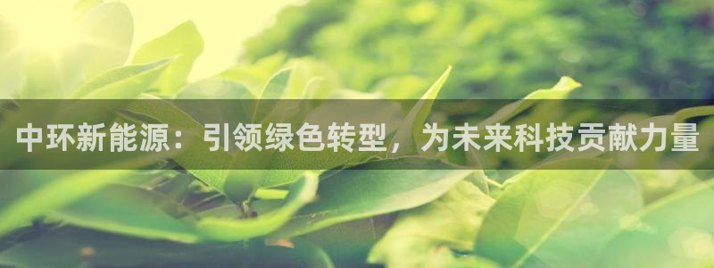 新宝GG厮78778：中环新能源：引领绿