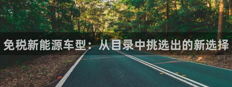 新宝GG创造奇：免税新能源车型：从目录中