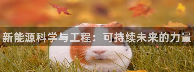 新宝gg登录登：新能源科学与工程：可持续